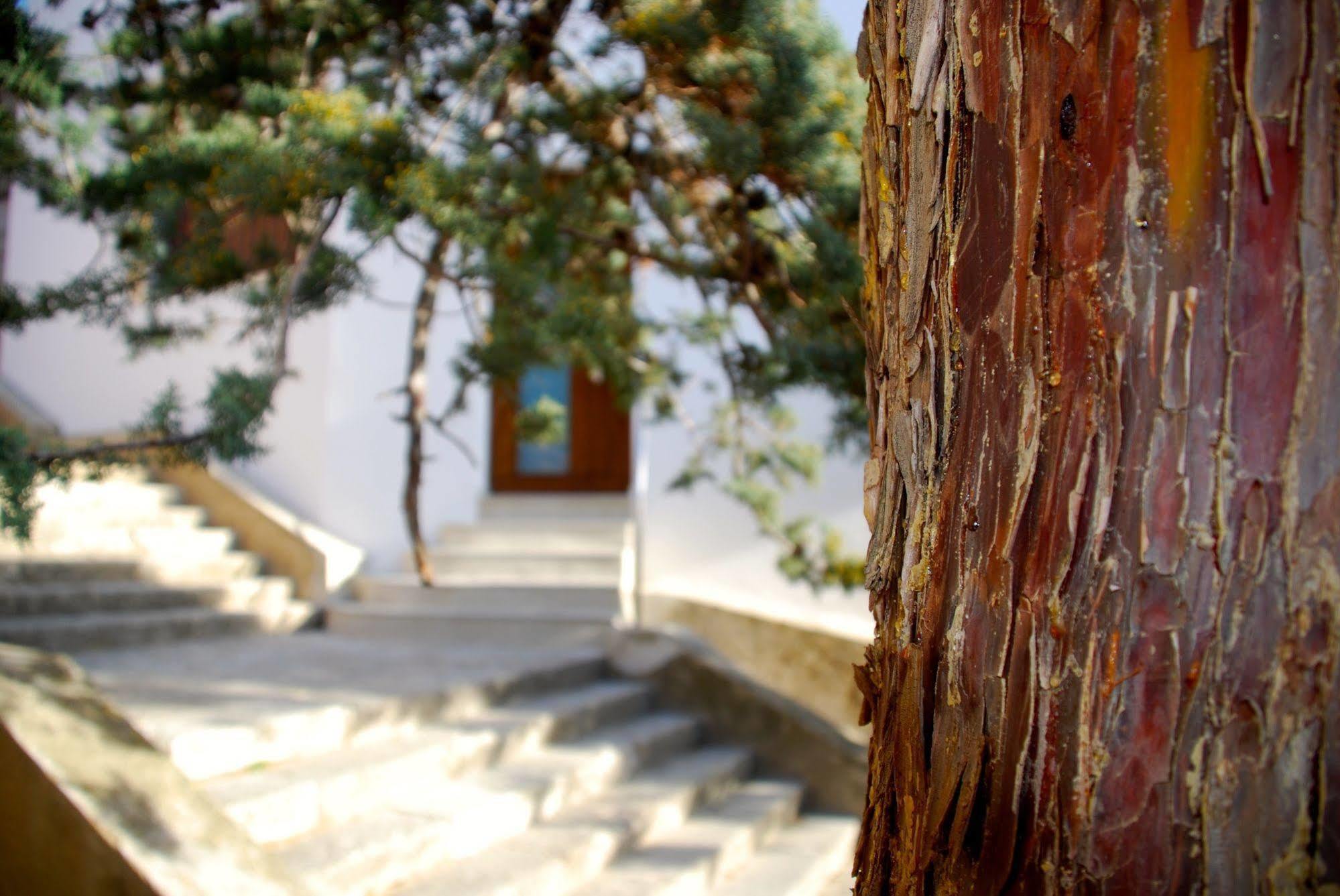 Apartamento Rural Castillo De Yeste 2 Pax (Adults Only) Buitenkant foto